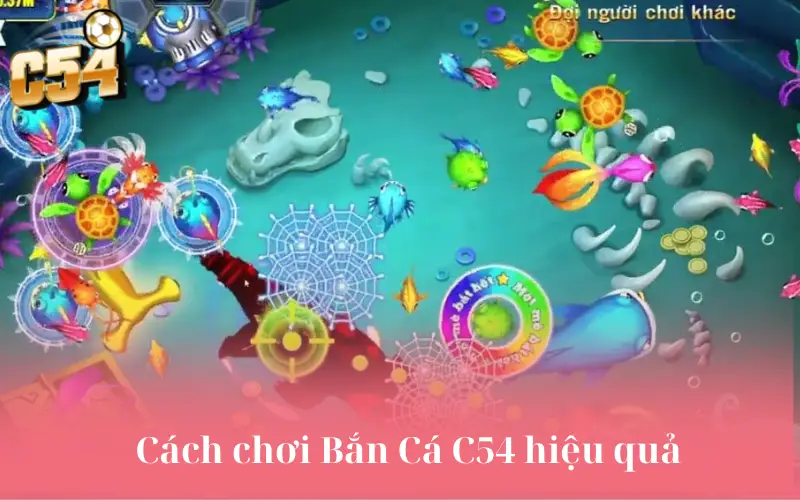 Cách chơi Bắn Cá C54 hiệu quả