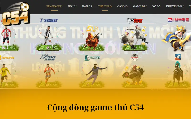 Cộng đồng game thủ C54