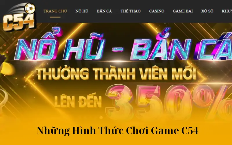 Những Hình Thức Chơi Game C54